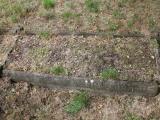 image of grave number 503500